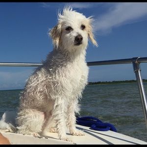 Meet your Posher, Barbara